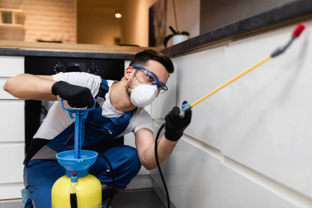 Best Pest Removal Services  in Treasure Lake, PA