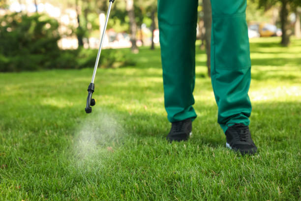 Best Bird Control  in Treasure Lake, PA