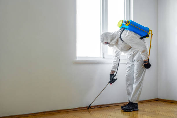 Best Spider Control Near Me  in Treasure Lake, PA