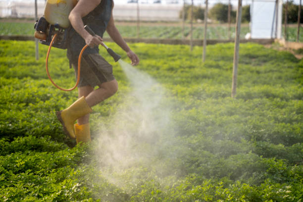 Reliable Treasure Lake, PA Pest Control Solutions