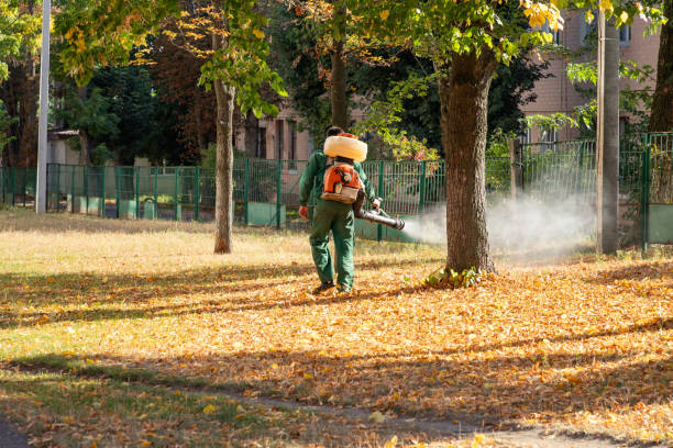 Best Local Pest Control Services  in Treasure Lake, PA