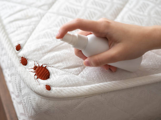 Best Cockroach Control Services  in Treasure Lake, PA