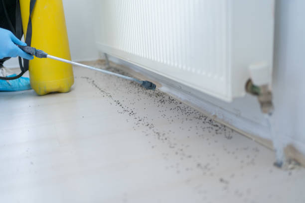 Pest Control Cost in Treasure Lake, PA