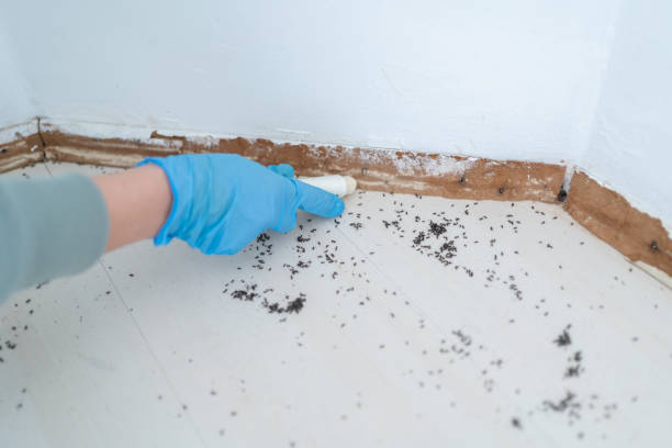 Best Commercial Pest Control Services  in Treasure Lake, PA